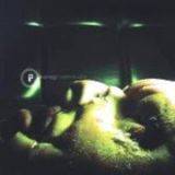 Korog : Live In Studio Korog : Live In Studio